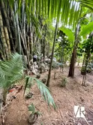 Fazenda / Sítio / Chácara com 2 Quartos à venda, 900m² no Macacos, Camboriú - Foto 7