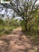 Fazenda / Sítio / Chácara à venda, 23130000m² no Zona Rural, São Francisco do Maranhão - Foto 10