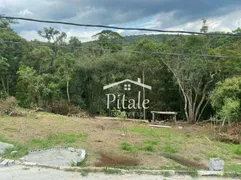 Terreno / Lote / Condomínio à venda, 1170m² no Jardim Adelina, Cotia - Foto 1