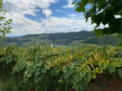 Terreno / Lote / Condomínio à venda no Centro, Monte Belo do Sul - Foto 15