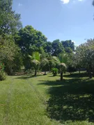 Fazenda / Sítio / Chácara com 3 Quartos à venda, 10000000m² no Jardim dos Lopes, Limeira - Foto 24