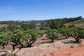 Fazenda / Sítio / Chácara à venda, 57800m² no Centro, Morungaba - Foto 25
