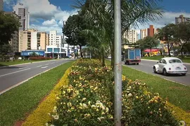 Fazenda / Sítio / Chácara à venda, 1m² no , Palmeiras de Goiás - Foto 10