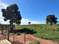 Fazenda / Sítio / Chácara à venda, 178838m² no Zona Rural, Itaguajé - Foto 5