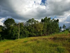 Fazenda / Sítio / Chácara com 3 Quartos à venda, 150m² no Zona Rural, Quadra - Foto 43