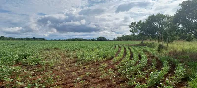 Fazenda / Sítio / Chácara com 2 Quartos à venda, 420000m² no Paranoá, Brasília - Foto 13