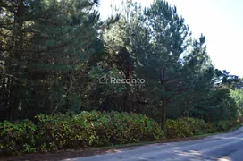 Fazenda / Sítio / Chácara à venda, 80000m² no Mato Queimado, Gramado - Foto 3