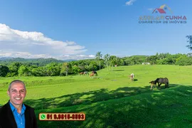 Fazenda / Sítio / Chácara com 4 Quartos à venda, 100m² no Zona Rural, Três Coroas - Foto 26