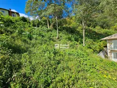 Terreno / Lote / Condomínio à venda, 372m² no Cônego, Nova Friburgo - Foto 4