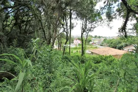 Terreno / Lote / Condomínio à venda, 400m² no Roseira de São Sebastião, São José dos Pinhais - Foto 3