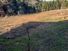 Fazenda / Sítio / Chácara à venda, 193600m² no Centro, São Miguel Arcanjo - Foto 9