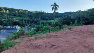 Terreno / Lote / Condomínio à venda, 1268m² no Sander, Três Coroas - Foto 5