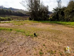 Terreno / Lote Comercial à venda, 10000m² no Vale dos Vinhedos, Bento Gonçalves - Foto 10