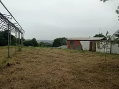 Terreno / Lote / Condomínio à venda, 1400m² no Rondônia, Novo Hamburgo - Foto 14
