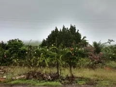 Fazenda / Sítio / Chácara com 2 Quartos à venda, 2500m² no Area Rural de Vitoria do Santo Antao, Vitória de Santo Antão - Foto 62