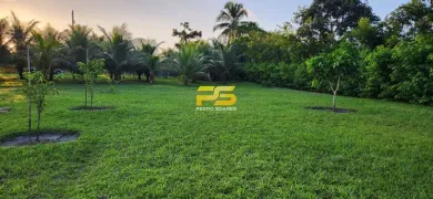 Fazenda / Sítio / Chácara com 2 Quartos à venda, 14200m² no , Pedras de Fogo - Foto 13