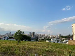 Terreno / Lote / Condomínio à venda, 1000m² no Altamira, Uberlândia - Foto 3