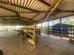 Fazenda / Sítio / Chácara com 2 Quartos à venda, 85m² no Area Rural de Ceilandia, Brasília - Foto 11