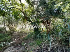 Terreno / Lote Comercial à venda, 85000m² no Nova Pampulha, Vespasiano - Foto 11