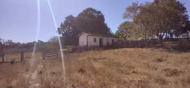 Fazenda / Sítio / Chácara com 4 Quartos à venda no Zona Rural, Cristianópolis - Foto 8