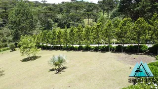 Fazenda / Sítio / Chácara com 3 Quartos à venda, 300m² no Zona Rural, Campo Alegre - Foto 8