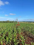 Fazenda / Sítio / Chácara à venda, 1694000m² no Zona Rural, Sertaneja - Foto 1