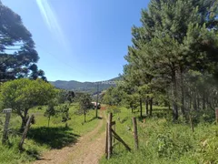 Fazenda / Sítio / Chácara à venda, 74174m² no Linha Sao Paulo, Canela - Foto 1