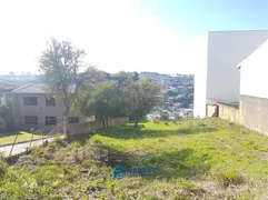 Terreno / Lote / Condomínio à venda, 748m² no Pioneiro, Caxias do Sul - Foto 6