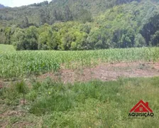 Fazenda / Sítio / Chácara com 1 Quarto à venda, 20000m² no Felpudo, Campo Largo - Foto 5