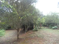 Fazenda / Sítio / Chácara com 3 Quartos à venda, 1530m² no Pavão-Canguera, São Roque - Foto 27