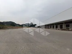 Conjunto Comercial / Sala para alugar, 8002m² no , Flores da Cunha - Foto 5