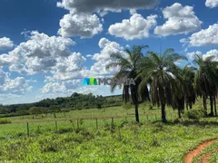 Fazenda / Sítio / Chácara com 1 Quarto à venda, 1780m² no Rural, Curvelo - Foto 16