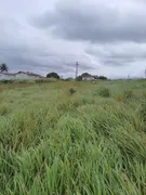 Fazenda / Sítio / Chácara com 3 Quartos à venda, 20000m² no Zona Rural, Monte Alegre - Foto 6