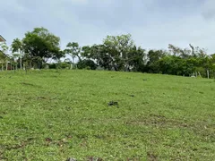 Terreno / Lote / Condomínio à venda, 4800m² no Areias de Macacu, Garopaba - Foto 10