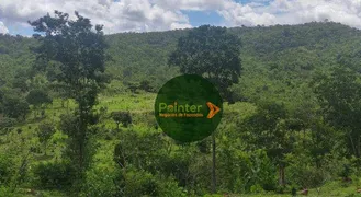 Fazenda / Sítio / Chácara com 2 Quartos à venda, 484000m² no Zona Rural, Heitoraí - Foto 5