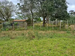 Fazenda / Sítio / Chácara com 3 Quartos à venda, 14000000m² no Area Rural de Caruaru, Caruaru - Foto 14