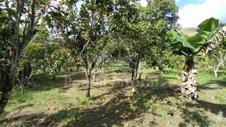 Fazenda / Sítio / Chácara com 1 Quarto à venda, 6874m² no Serra Do Mato Grosso, Saquarema - Foto 8