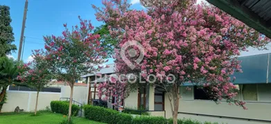 Casa Comercial com 1 Quarto para alugar, 550m² no Nova Campinas, Campinas - Foto 1