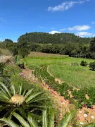 Fazenda / Sítio / Chácara com 2 Quartos à venda, 30000m² no Zona Rural, Campo Alegre - Foto 7