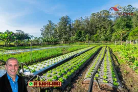 Fazenda / Sítio / Chácara com 2 Quartos à venda, 120m² no Campo da Brazina, Araricá - Foto 20