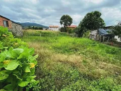 Casa com 2 Quartos à venda, 390m² no Centro, Urubici - Foto 2