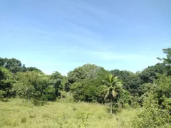 Fazenda / Sítio / Chácara à venda, 30000m² no Campo Alegre, Nova Iguaçu - Foto 11