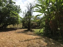Fazenda / Sítio / Chácara com 3 Quartos à venda, 120m² no Zona Rural, Pirenópolis - Foto 53