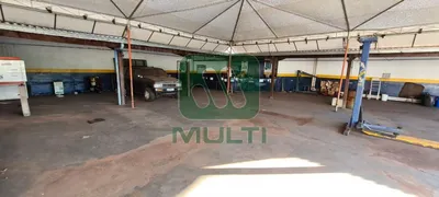 Terreno / Lote Comercial com 1 Quarto para alugar, 1000m² no Brasil, Uberlândia - Foto 7