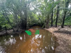 Fazenda / Sítio / Chácara à venda, 4000m² no Povoado, Pedras de Fogo - Foto 17