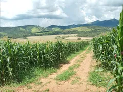 Fazenda / Sítio / Chácara com 2 Quartos à venda, 75m² no Zona Rural, Lambari - Foto 46