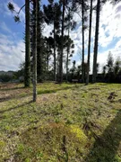 Terreno / Lote / Condomínio à venda, 600m² no Vale das Colinas, Gramado - Foto 15