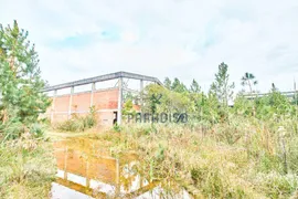 Terreno / Lote Comercial à venda, 291000m² no Campina, São José dos Pinhais - Foto 12