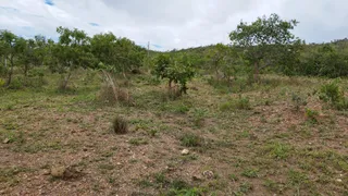 Fazenda / Sítio / Chácara à venda, 20000m² no Zona Rural, Corumbá de Goiás - Foto 4