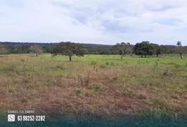 Fazenda / Sítio / Chácara à venda, 774m² no Zona Rural, Goianorte - Foto 15